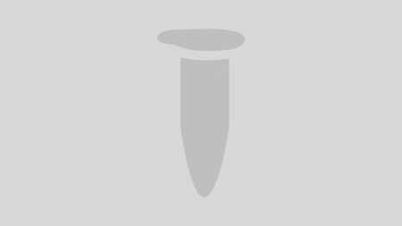 ДНК МОДИФИЦИРУЮЩИЙ ФЕРМЕНТ ЭНДОНУКЛЕАЗА РЕСТРИКЦИИ SFOI