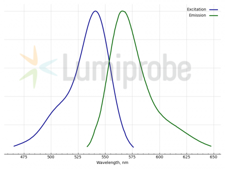 CYTOTRACER ORANGE CMTMR, 50 UG, 4276-50UG