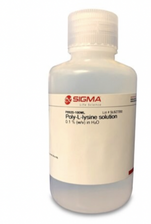 РАСТВОР ПОЛИ-L-ЛИЗИНА, 100 МЛ, АРТ. P8920-100ML, SIGMA-ALDRICH