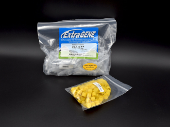 ПРОБИРКИ 1,5 МЛ С ЮБКОЙ C ЗАВИНЧИВАЮЩИМИСЯ ЖЕЛТЫМИ КРЫШКАМИ, БЕЗ УПЛОТНИТЕЛЬНОГО КОЛЬЦА (100 ШТ./УПАК), АРТ. ST-1.5-SY, EXTRAGENE INC.