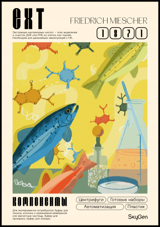 ПОСТЕР ЭКСТРАКЦИЯ НК, SKYGEN