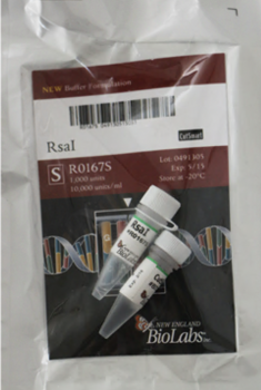 ДНК МОДИФИЦИРУЮЩИЙ ФЕРМЕНТ ЭНДОНУКЛЕАЗА РЕСТРИКЦИИ RSAI, РЕКОМБИНАНТНАЯ (10 000 Е.А./МЛ, 1 000 Е.А.), АРТ. R0167 S, NEW ENGLAND BIOLABS