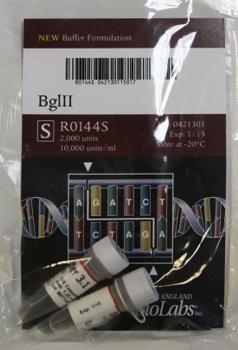 ДНК МОДИФИЦИРУЮЩИЙ ФЕРМЕНТ ЭНДОНУКЛЕАЗА РЕСТРИКЦИИ BGLII, РЕКОМБИНАНТНАЯ (10 000 Е.А./МЛ, 2 000 Е.А.), АРТ. R0144 S, NEW ENGLAND BIOLABS