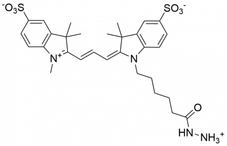 SULFO-CYANINE3 ГИДРАЗИД, 1 MG, 11370