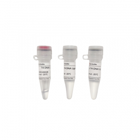 ДНК-ЛИГАЗА T4, 5 ЕД/МКЛ, 100 МКЛ