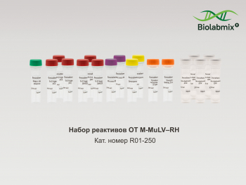 НАБОР РЕАКТИВОВ ОТ-M-MULV-RH С ПРАЙМЕРАМИ, 250 РЕАКЦИЙ