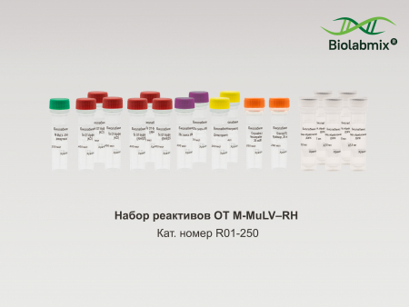 НАБОР РЕАКТИВОВ ОТ-M-MULV-RH С ПРАЙМЕРАМИ, 250 РЕАКЦИЙ
