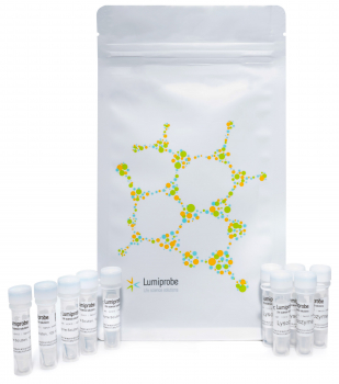 21133, LYSOPREP LYO, НАБОР ДЛЯ ПРЕДОБРАБОТКИ ОБРАЗЦОВ ЛИЗОЦИМОМ ПЕРЕД ВЫДЕЛЕНИЕМ ДНК (ЛИОФИЛИЗИРОВАННЫЙ), 50 ASSAYS