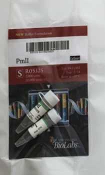 ДНК МОДИФИЦИРУЮЩИЙ ФЕРМЕНТ ЭНДОНУКЛЕАЗА РЕСТРИКЦИИ PMLI (20 000 Е.А./МЛ, 2 000 Е.А.), АРТ. R0532 S, NEW ENGLAND BIOLABS