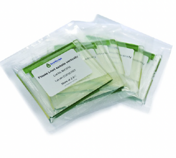 ГЕЛИ EXPRESSPLUS™ PAGE,10?8, 4-20%, 12 ЛУНОК, 20 ШТ/УПАК, АРТ. M42012, GENSCRIPT