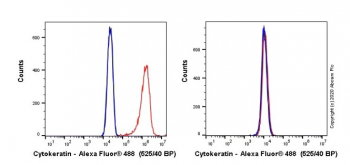 АНТИТЕЛА МОНОКЛОНАЛЬНЫЕ МЫШИНЫЕ RECOMBINANT ALEXA FLUOR® 488 ANTI-PAN CYTO, 100 МКЛ, ABCAM, AB277270