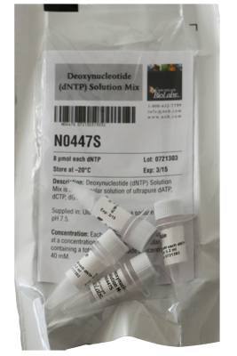 СМЕСЬ ДЕЗОКСИНУКЛЕОТИДОВ (ДАТФ, ДЦТФ, ДГТФ И ДТТФ) (10 ММ, 8 МКМОЛЬ), АРТ. N0447 S, NEW ENGLAND BIOLABS