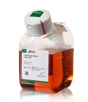 СЫВОРОТКА ФЕТАЛЬНАЯ БЫЧЬЯ, ВАЛИДИРОВАННАЯ, 500 МЛ