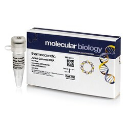 ГЕНОМНАЯ ДНК ИЗ КЛЕТОК JURKAT, АРТ. SD1111, THERMO FISHER SCIENTIFIC