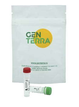 GENTA TAQ ДНК-ПОЛИМЕРАЗА 5 000 ЕД./МЛ, 5 000 ЕД.