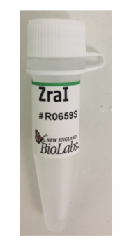 ДНК МОДИФИЦИРУЮЩИЙ ФЕРМЕНТ ЭНДОНУКЛЕАЗА РЕСТРИКЦИИ ZRAI, РЕКОМБИНАНТНАЯ (10 000 Е.А./МЛ, 1 000 Е.А.), АРТ. R0659 L, NEW ENGLAND BIOLABS