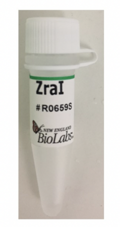 ДНК МОДИФИЦИРУЮЩИЙ ФЕРМЕНТ ЭНДОНУКЛЕАЗА РЕСТРИКЦИИ ZRAI, РЕКОМБИНАНТНАЯ (10 000 Е.А./МЛ, 1 000 Е.А.), АРТ. R0659 L, NEW ENGLAND BIOLABS