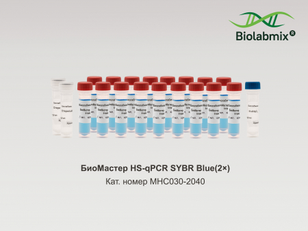 БИОМАСТЕР HS-QPCR SYBR BLUE(2?), 2040 РЕАКЦИЙ