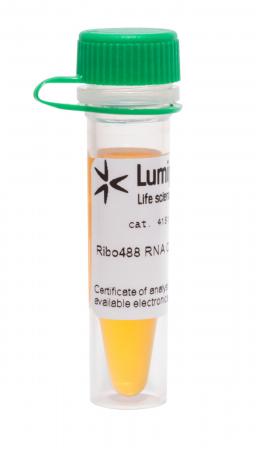 КРАСИТЕЛЬ RIBO488 ДЛЯ ОПРЕДЕЛЕНИЯ КОНЦЕНТРАЦИИ РНК, 1 ML, 41510