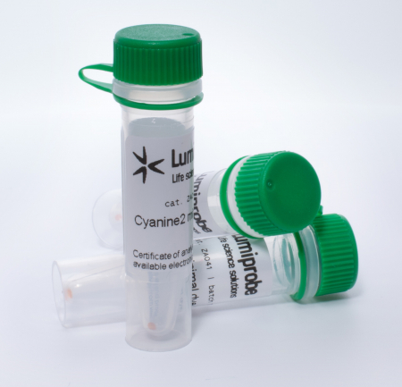 CYANINE3 ДЛЯ ДВУМЕРНОГО ЭЛЕКТРОФОРЕЗА, 10 NMOL, 2B041