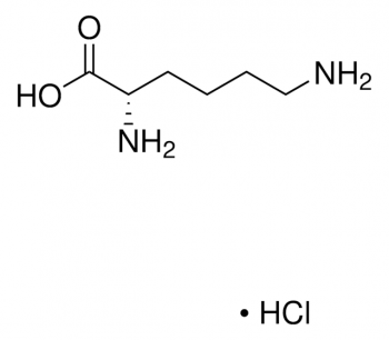 L-ЛИЗИН ГИДРОХЛОРИД(25Г) / L-LYSINE HYDROCHLORIDE