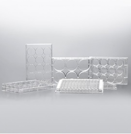 ПЛАНШЕТЫ ДЛЯ КУЛЬТИВИРОВАНИЯ КЛЕТОК, 12-ЛУНОЧНЫЕ, ИНД. УПАКОВКА, ДЛЯ СУСПЕНЗИОННЫХ КУЛЬТУР, 100 ШТ/УПАК, JETBIOFIL