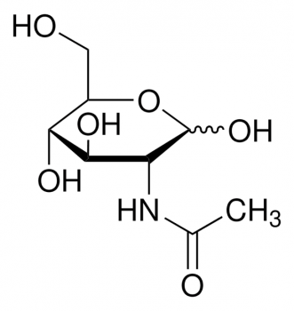 N -АЦЕТИЛ-D-ГЛЮКОЗАМИН (25Г) /N-ACETYL-D-GLUCOSAMINE