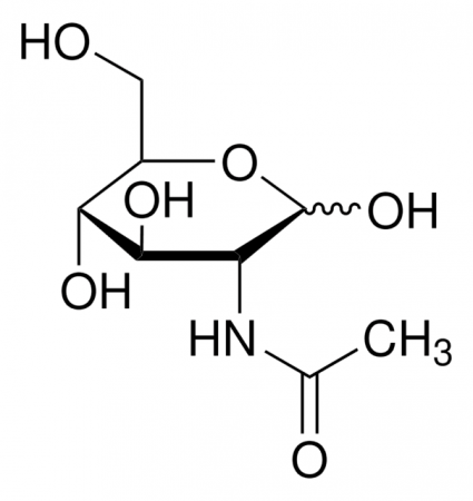N -АЦЕТИЛ-D-ГЛЮКОЗАМИН (25Г) /N-ACETYL-D-GLUCOSAMINE