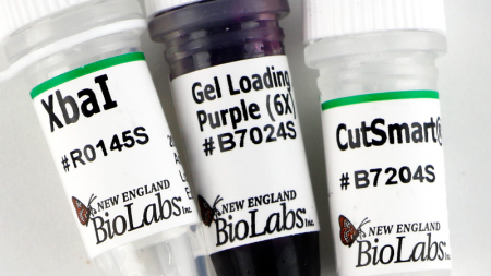 ДНК МОДИФИЦИРУЮЩИЙ ФЕРМЕНТ ЭНДОНУКЛЕАЗА РЕСТРИКЦИИ XBAI, РЕКОМБИНАНТНАЯ (20 000 Е.А./МЛ, 3 000 Е.А.), АРТ. R0145 S, NEW ENGLAND BIOLABS