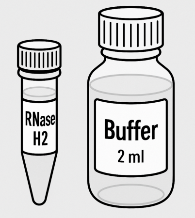 НАБОР ФЕРМЕНТ РНКАЗА H2 (50 Е.А.) И БУФЕР (2 МЛ), АРТ. 11-02-12-01, IDTDNA