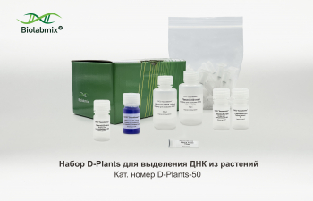 НАБОР MINI ДЛЯ ВЫДЕЛЕНИЯ ПЛАЗМИДНОЙ ДНК ИЗ БАКТЕРИАЛЬНЫХ КЛЕТОК, 50 РЕАКЦИЙ