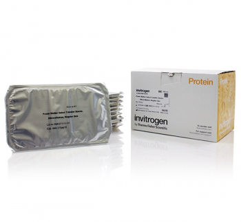 МЕМБРАНЫ POWER BLOTTER, НИТРОЦЕЛЛЮЛОЗА, 0,2 МКМ, 130X83 ММ, 10 ШТ/УПАК, АРТ. PB3310, THERMO FISHER SCIENTIFIC