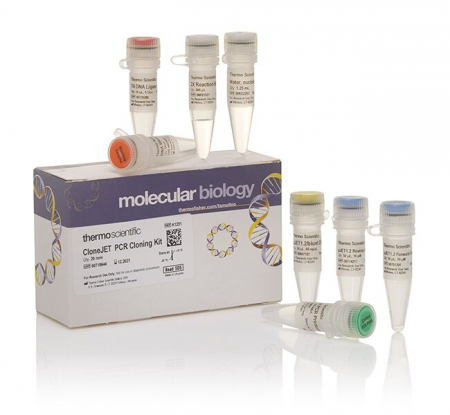 НАБОР ДЛЯ КЛОНИРОВАНИЯ CLONEJET, 40 РЕАКЦИЙ