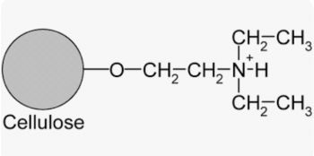 ДИЭТИЛАМИНОЭТИЛЦЕЛЛЮЛОЗА (500Г) / DIETHYLAMINOETHYL CELLULOSE