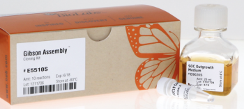 НАБОР GIBSON ASSEMBLY™ ДЛЯ КЛОНИРОВАНИЯ (10 РЕАКЦИЙ), АРТ. E5510 S