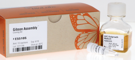 НАБОР GIBSON ASSEMBLY™ ДЛЯ КЛОНИРОВАНИЯ (10 РЕАКЦИЙ), АРТ. E5510 S