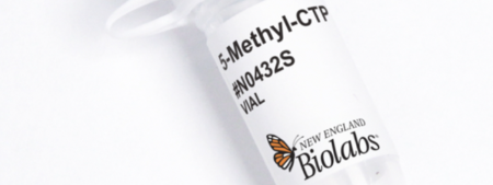 НАБОР РИБОНУКЛЕОТИДОВ (АТФ, ЦТФ, ГТФ И УТФ) (100 ММ, 10 МКМОЛЬ), АРТ. N0450 S, NEW ENGLAND BIOLABS