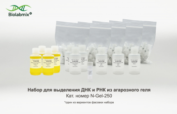 НАБОР N-GEL ДЛЯ ВЫДЕЛЕНИЯ ДНК И РНК ИЗ АГАРОЗНОГО ГЕЛЯ, 250 РЕАКЦИЙ