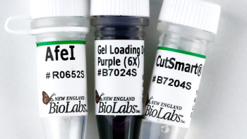 ДНК МОДИФИЦИРУЮЩИЙ ФЕРМЕНТ ЭНДОНУКЛЕАЗА РЕСТРИКЦИИ AFEI, РЕКОМБИНАНТНАЯ (10 000 Е.А./МЛ, 1 000 Е.А.), АРТ. R0652 L, NEW ENGLAND BIOLABS