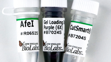 ДНК МОДИФИЦИРУЮЩИЙ ФЕРМЕНТ ЭНДОНУКЛЕАЗА РЕСТРИКЦИИ AFEI, РЕКОМБИНАНТНАЯ (10 000 Е.А./МЛ, 1 000 Е.А.), АРТ. R0652 L, NEW ENGLAND BIOLABS