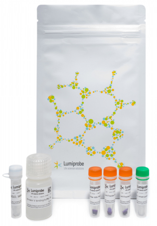 НАБОР ДЛЯ ОПРЕДЕЛЕНИЯ АПОПТОЗА И МИТОХОНДРИАЛЬНОГО МЕМБРАННОГО ПОТЕНЦИАЛА С ПОМОЩЬЮ LUMITRACKER® MITO RED CMXROS И АННЕКСИНА V-AF 488, 50 ASSAYS, 21372