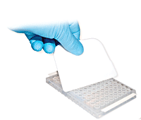 ПЛАСТИКОВЫЕ ПЛАСТИНЫ ДЛЯ ЗАПЕЧАТЫВАНИЯ ПЛАНШЕТОВ ДЛЯ ПЦР, 9,5 СМ (5 ШТ.), АРТ. SPWSPP-SFF, BIOPOINTE SCIENTIFIC