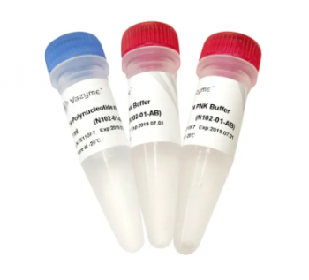 T4 ПОЛИНУКЛЕОТИДКИНАЗА, 10 000 Е.А., АРТ. N102-01, VAZYME BIOTECH CO., LTD