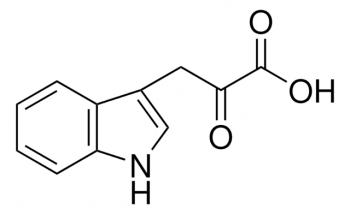 B-ИНДОЛИЛПИРОВИНОГРАДНАЯ КИСЛОТА (1Г) /INDOLE-3-PYRUVIC ACID