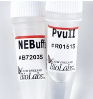 ДНК МОДИФИЦИРУЮЩИЙ ФЕРМЕНТ ЭНДОНУКЛЕАЗА РЕСТРИКЦИИ PVUII-HF™ (20 000 Е.А./МЛ, 5 000 Е.А.), АРТ. R3151 S, NEW ENGLAND BIOLABS
