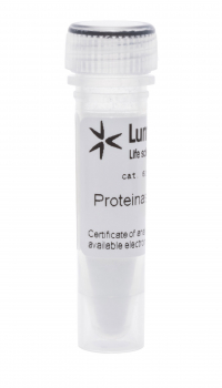 ПРОТЕИНАЗА К / PROTEINASE К (ЛИОФИЛИЗОВАННАЯ), 100 MG, 62850