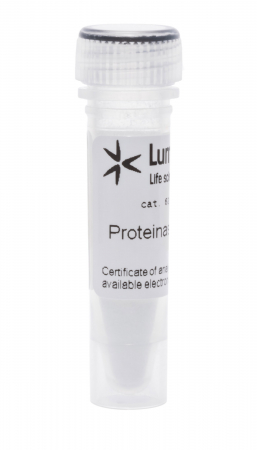 ПРОТЕИНАЗА К / PROTEINASE К (ЛИОФИЛИЗОВАННАЯ), 100 MG, 62850