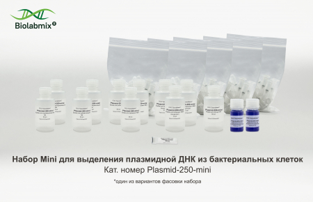 НАБОР MINI ДЛЯ ВЫДЕЛЕНИЯ ПЛАЗМИДНОЙ ДНК ИЗ БАКТЕРИАЛЬНЫХ КЛЕТОК, 250 РЕАКЦИЙ