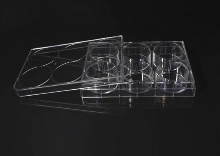 ПЛАНШЕТ КУЛЬТУРАЛЬНЫЙ, 6-ЛУНОЧНЫЙ, TC TREATED, СТЕРИЛЬНЫЙ, 1 ШТ/ИНД. УПАК