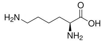 L-ЛИЗИН (100Г) /L-LYSINE